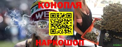 гидра Новокубанск